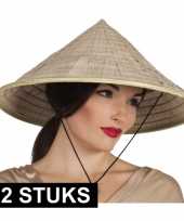12x puntige hoeden van stro aziatisch