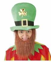 Baard met groene hoed 10148145