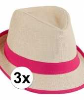 Roze toppers strandhoedjes 3 stuks hoed